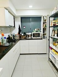 Blk 1 The Pinnacle@Duxton (Bukit Merah), HDB 4 Rooms #457460781